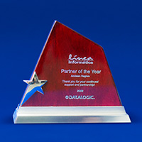 Partner of the year 2008