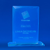Solution Provider - Excellence Award Toshiba Commerce
