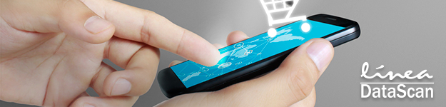 Fast Payment System