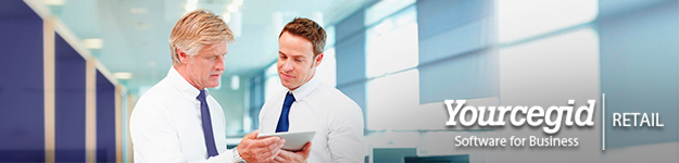 Business Intelligence (BI)